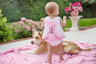 Hond en baby